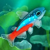 お池のくらし ー 癒しの魚育成ゲーム
